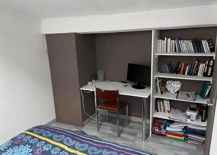 Joli Duplex En Centre Ville De 40M2 Climatise