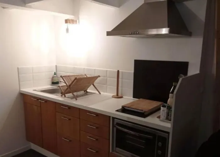 Joli Duplex En Centre Ville De 40M2 Climatise