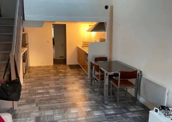 Joli Duplex En Centre Ville De 40M2 Climatise