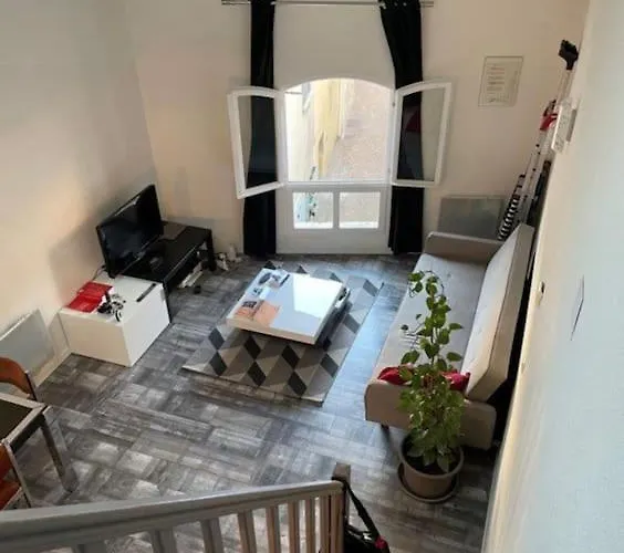 Joli Duplex En Centre Ville De 40M2 Climatise